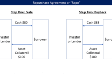 ما هو الريبو